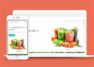 宽屏鲜榨果汁加盟店网站模板下载 - 项目资源网