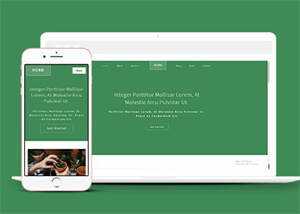 响应式多肉植物种植网站模板下载 - 项目资源网