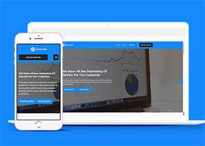 SEO优化团队类网站模板下载 - 项目资源网