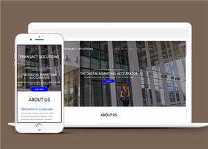 简约公司项目解决方案HTML网页模板下载 - 项目资源网