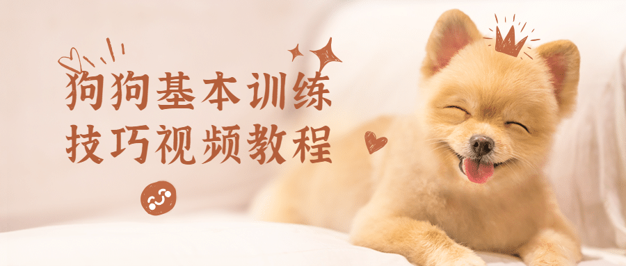 狗狗基本训练技巧视频教程 - 项目资源网