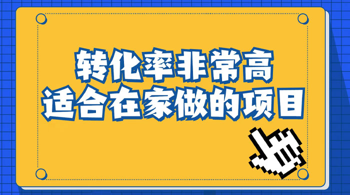 小红书虚拟电商项目：从小白到精英（视频课程+交付手册） - 项目资源网