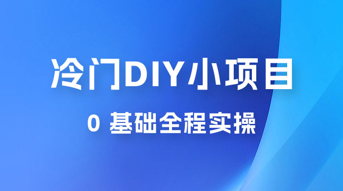 日入几百的冷门 DIY 小项目 0 基础全程实操 - 项目资源网