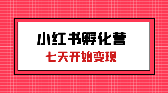 价值 2000+ 的小红书孵化营项目，超级大蓝海，七天即可开始变现，稳定月入 1W+ - 项目资源网