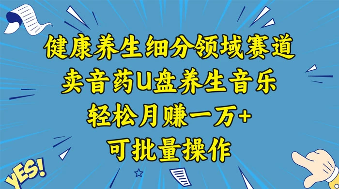 健康养生细分领域赛道，卖音药U盘养生音乐，轻松月赚一万+，可批量操作 - 项目资源网